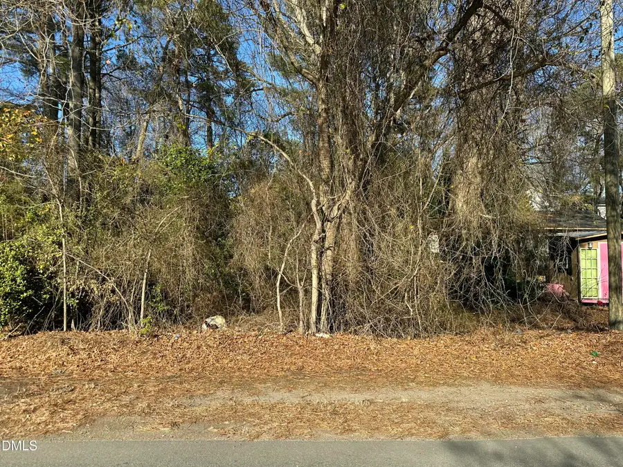 0 W Old Road, Lillington, NC 27546 - Image #3