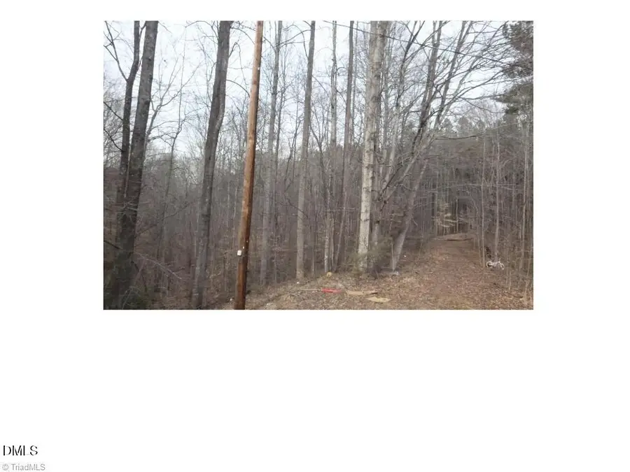 00 Mountain View, Pelham, NC 27311 - Image #2