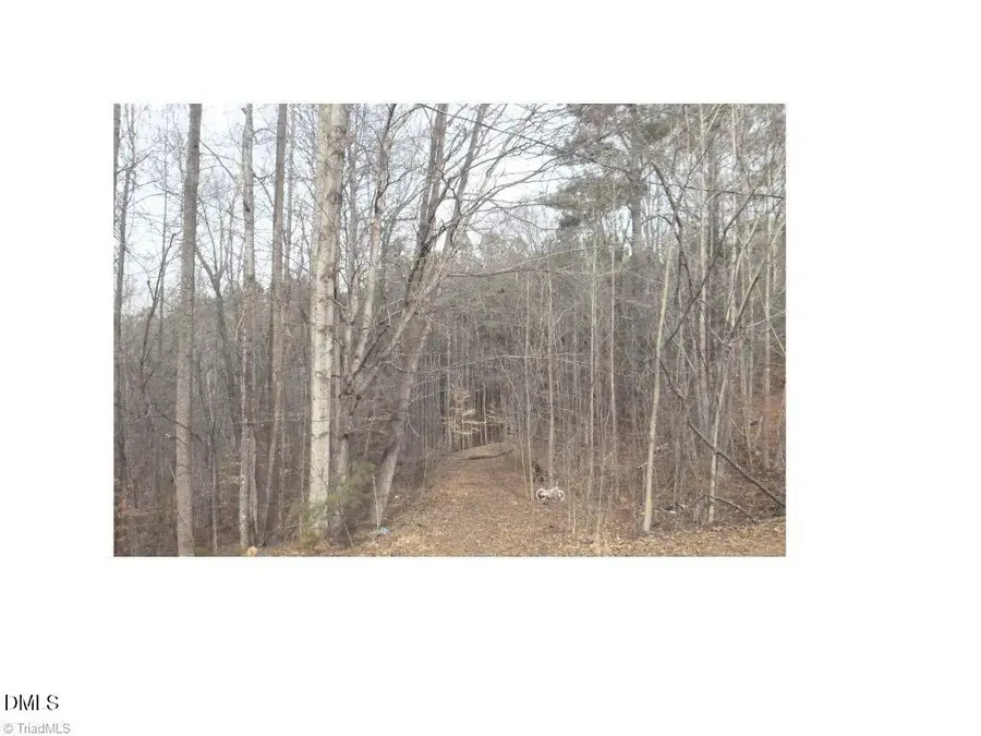 00 Mountain View, Pelham, NC 27311 - Image #3