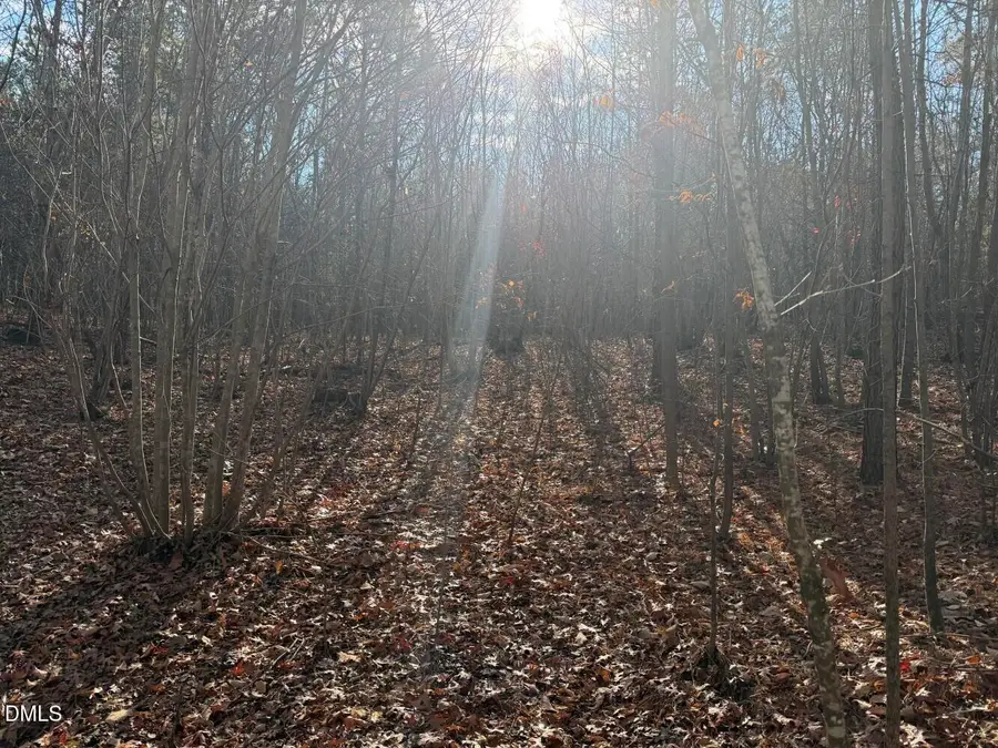 0 White Drive, Snow Camp, NC 27349 - #3