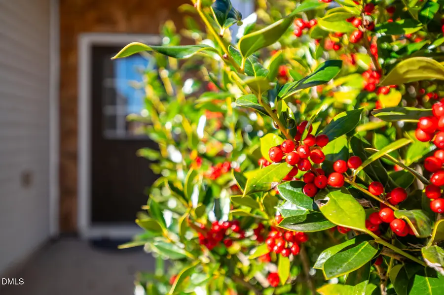 3548 Althorp Drive, Raleigh, NC 27616 - #2