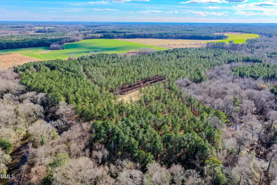 2729 Mcneill Hobbs Road, Bunnlevel, NC 28323 - Image #2