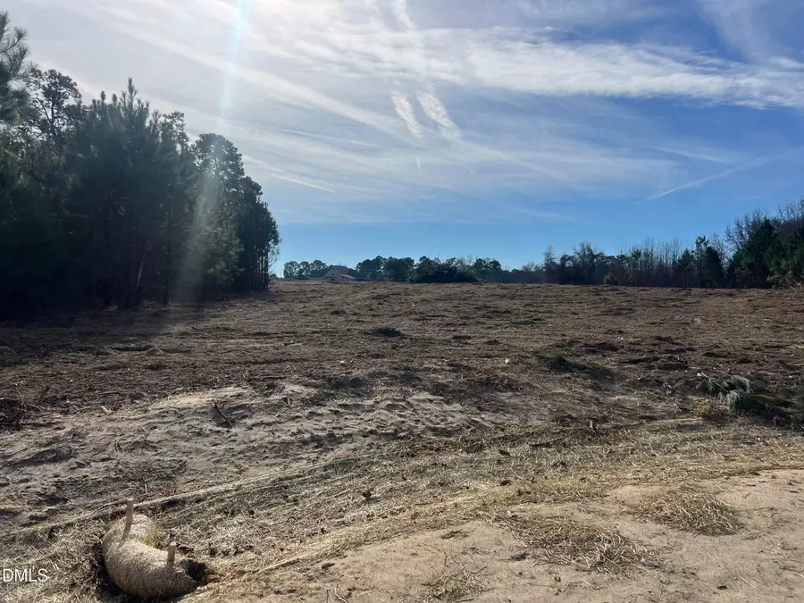 27 Woods Hill Lane Road, Benson, NC 27504 - #2