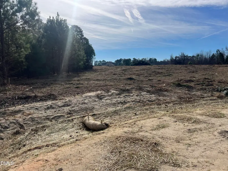 31 Woods Hill Lane Drive, Benson, NC 27504 - #3