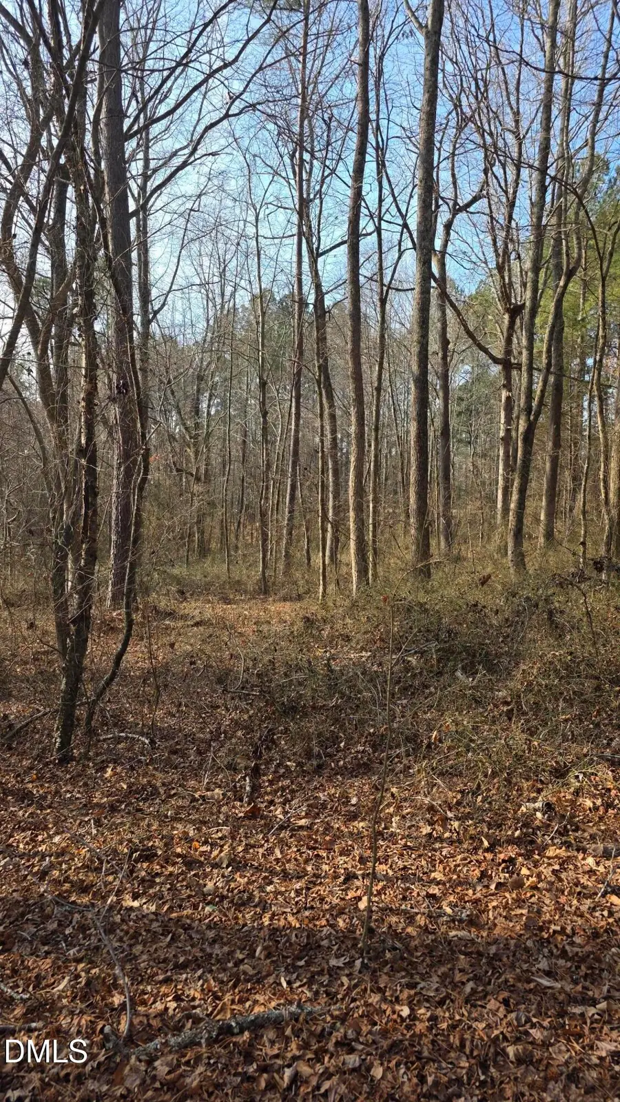 0 Gela Rd At Cornwall Road, Oxford, NC 27565 - Image #2