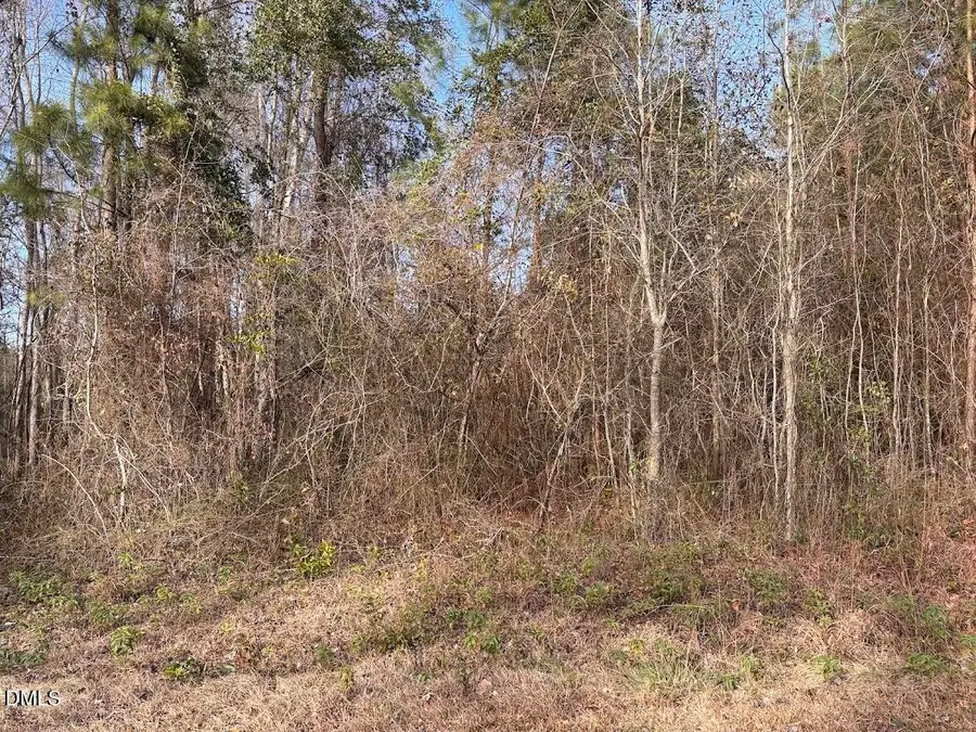 0 Watson Grave Yard Road, Clarkton, NC 28433 - #3