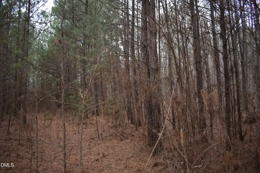 257 Piney Grove Church Road, Siler City, NC 27344 - #2