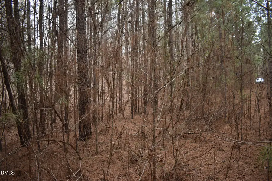 257 Piney Grove Church Road, Siler City, NC 27344 - #3