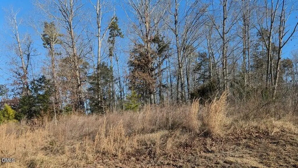 00 Kiza Drive, Buffalo Junction, VA 24529 - Image #1