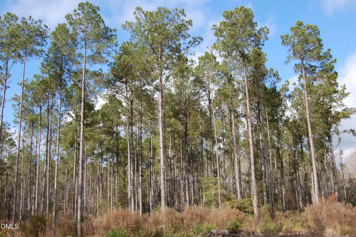 001 Kellyville Road, Rocky Point, NC 28457 - #1