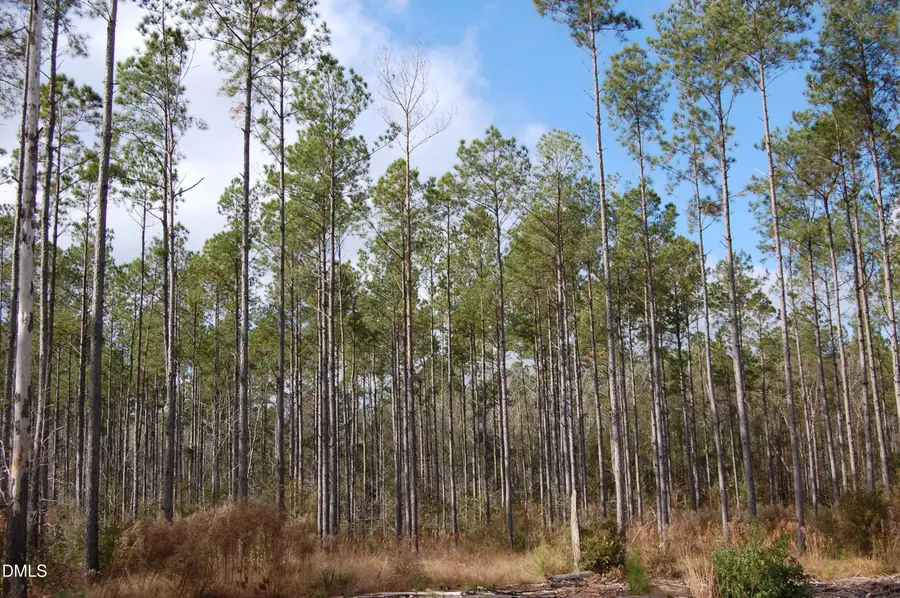 001 Kellyville Road, Rocky Point, NC 28457 - #2