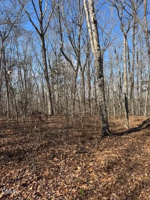 510 Whatt Way, Moncure, NC 27559 - #3