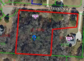 205 Teresa Court, Angier, NC 27501