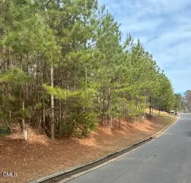 36 Mist Wood Court, Pittsboro, NC 27312 - #3