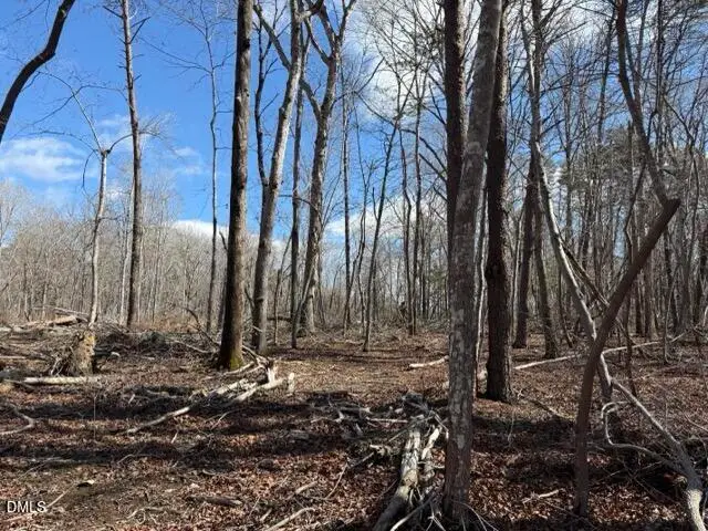 Lot 1 Olivia Pope Way, Efland, NC 27243 - #3