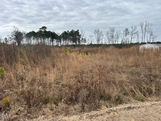 0 N Mccullen Road, Faison, NC 28341 - #2