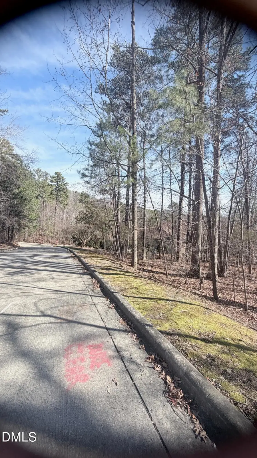 10448 Council, Chapel Hill, NC 27517 - #2