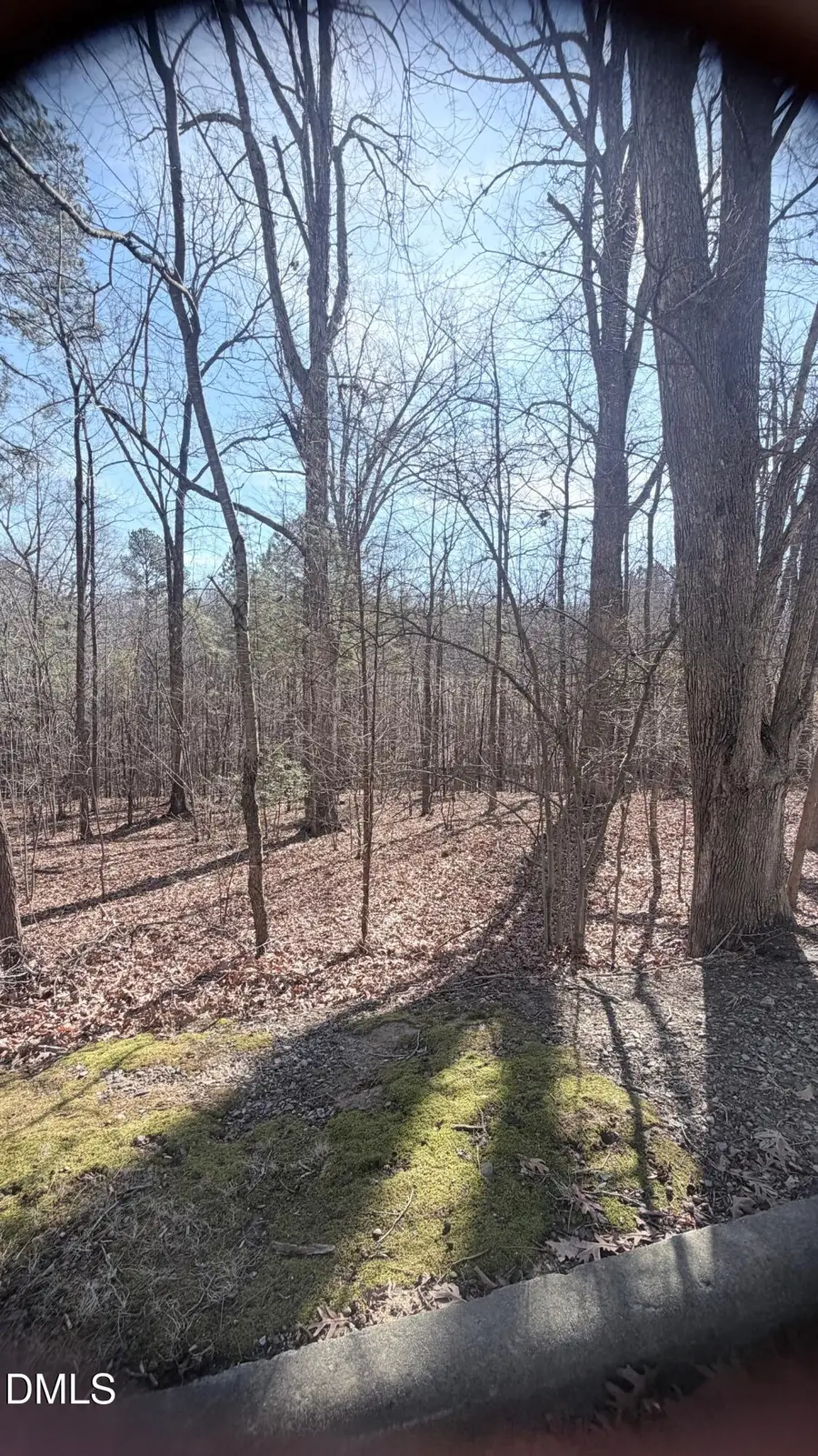 10448 Council, Chapel Hill, NC 27517 - #3