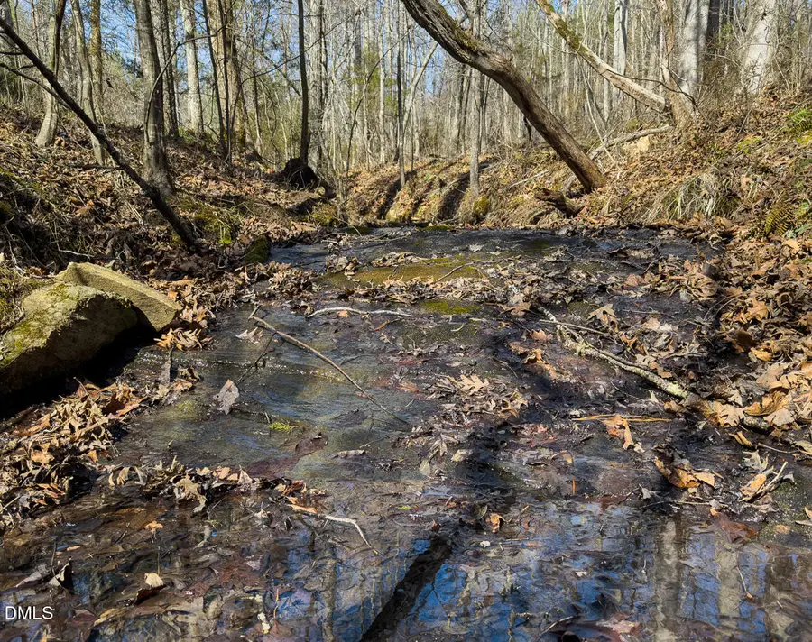 00 Scott Road, Semora, NC 27343 - #3