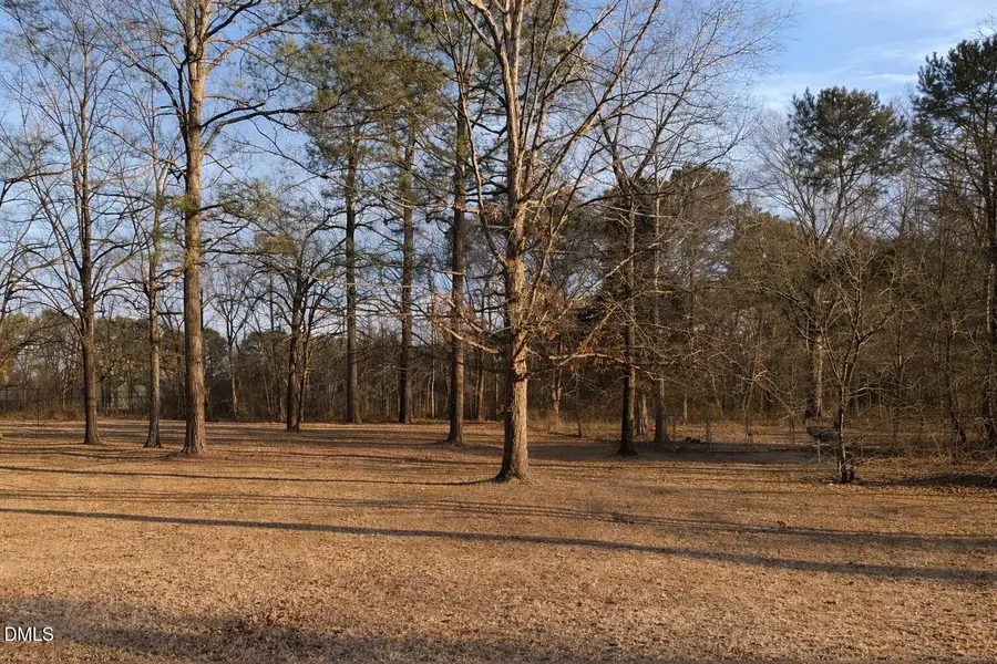 Lot 4 Will Suitt Road, Creedmoor, NC 27522 - #2