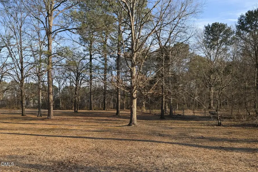 Lot 4 Will Suitt Road, Creedmoor, NC 27522 - #3