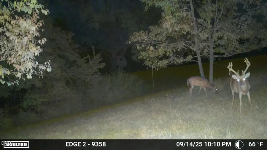 0 Park Springs Road, Providence, NC 27315 - #3