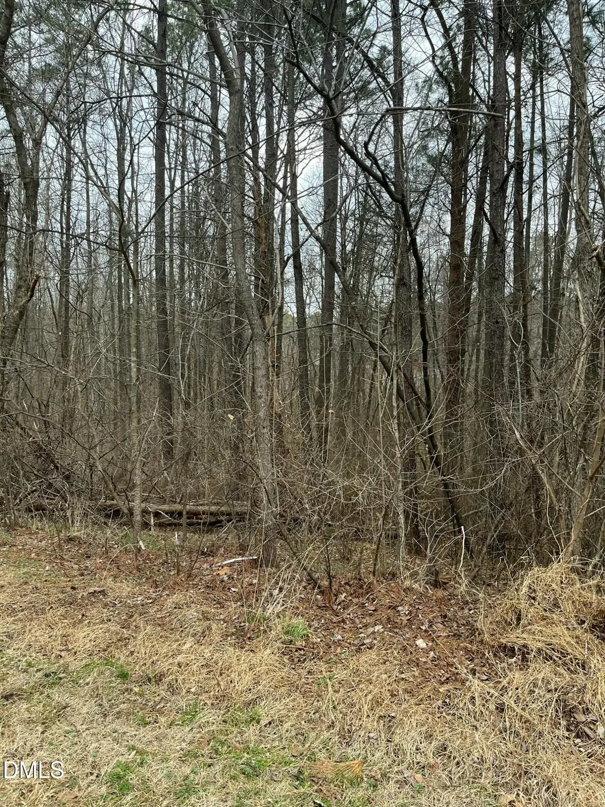 93 Lot Haynoke Drive, Graham, NC 27253 - #1