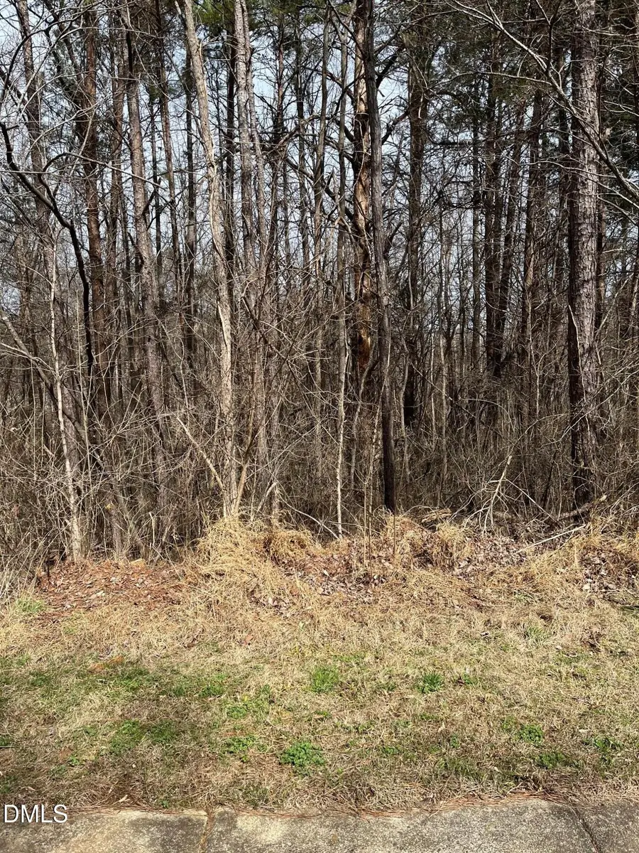 93 Lot Haynoke Drive, Graham, NC 27253 - #3