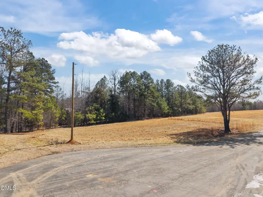 Lot 4 Collie Jones Road, Rougemont, NC 27572 - #3