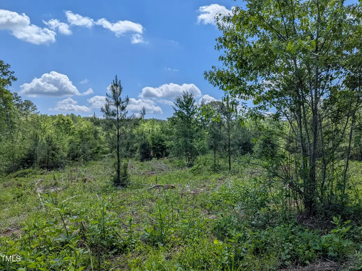 0 Cypress Creek Drive, Louisburg, NC 27549 - #1