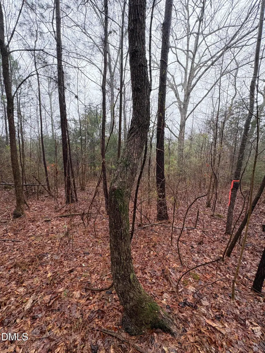 0 Glosson Road, Siler City, NC 27344 - #3