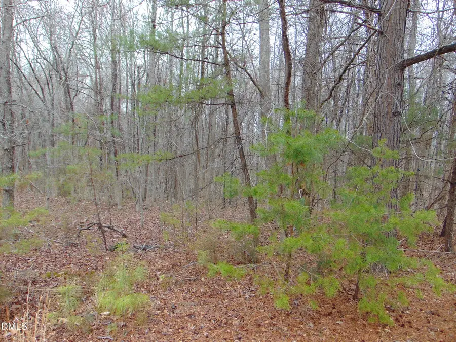 0 Fowlkes Road, Pelham, NC 27311 - #3