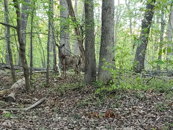 Lot 2 Deer Run Trail, Hillsborough, NC 27278