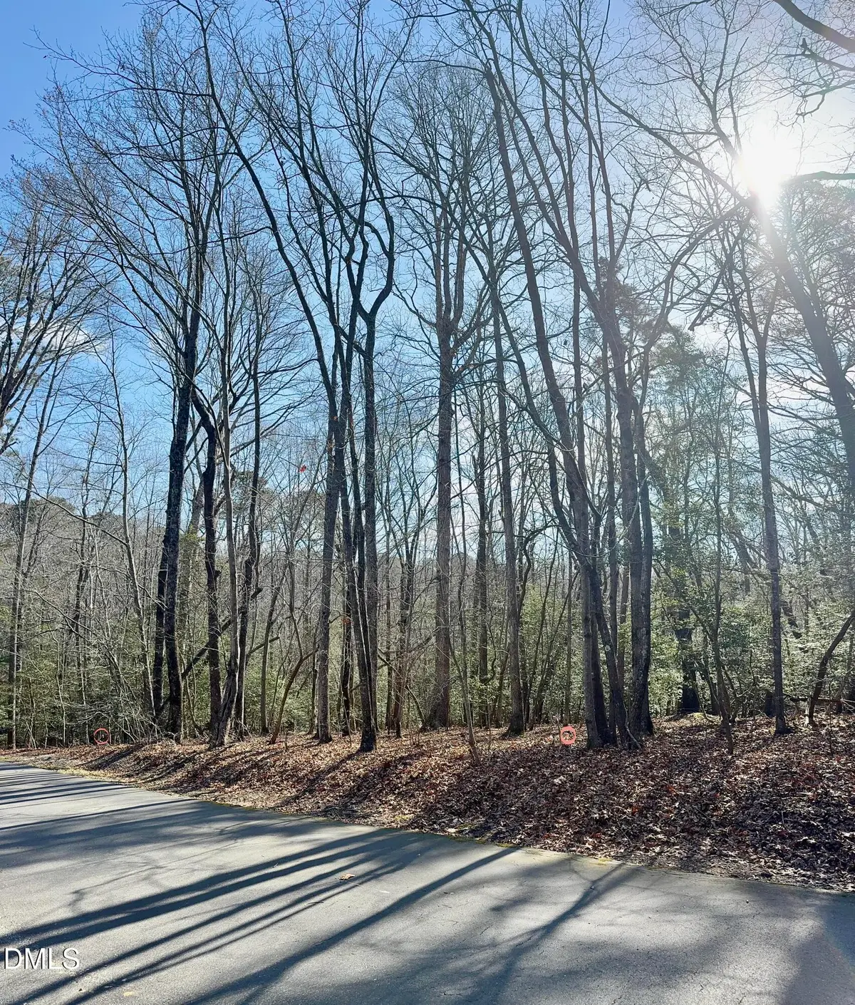 2046 Treetop Circle, Sanford, NC 27332 - #1