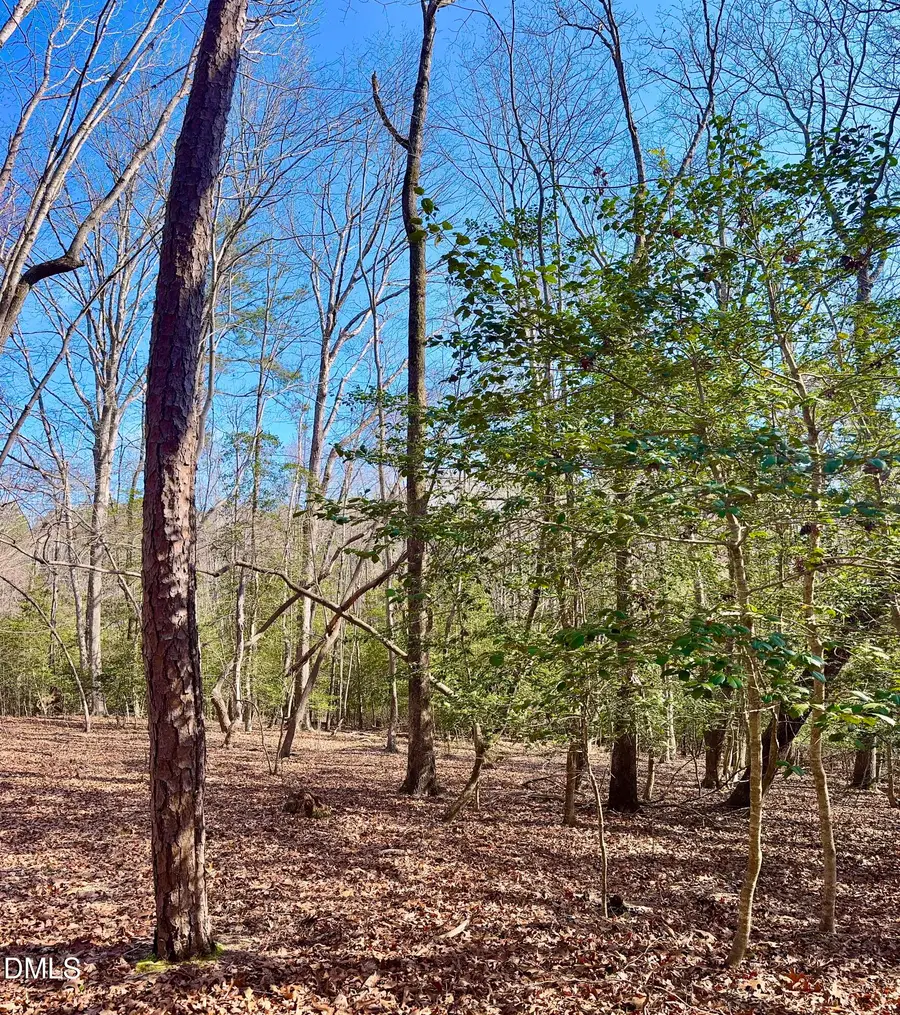 2046 Treetop Circle, Sanford, NC 27332 - #3