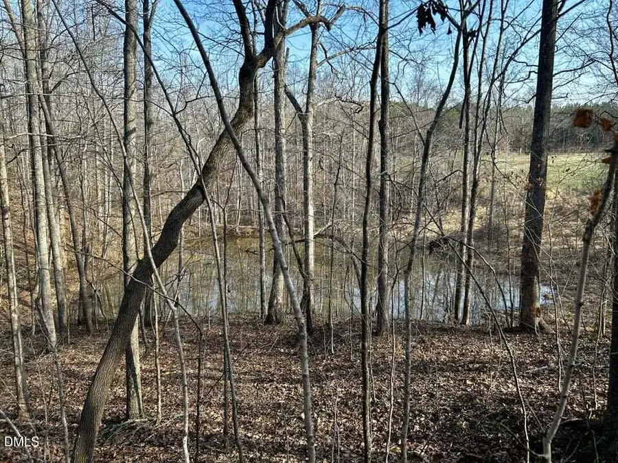 11.05 Acre Elmore Road, Leasburg, NC 27291 - #2