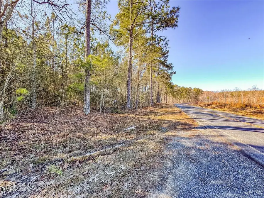 Tract 4 Robedo Road, Mount Gilead, NC 27306 - #3