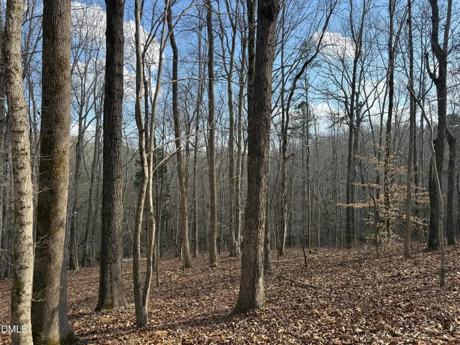 0 Birch Creek Farm Lane, Franklinton, NC 27525 - #3