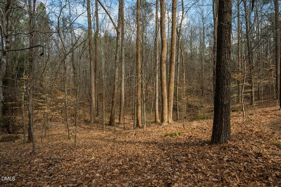 Lot 1 Marvin Edwards Lane, Chapel Hill, NC 27517 - #2
