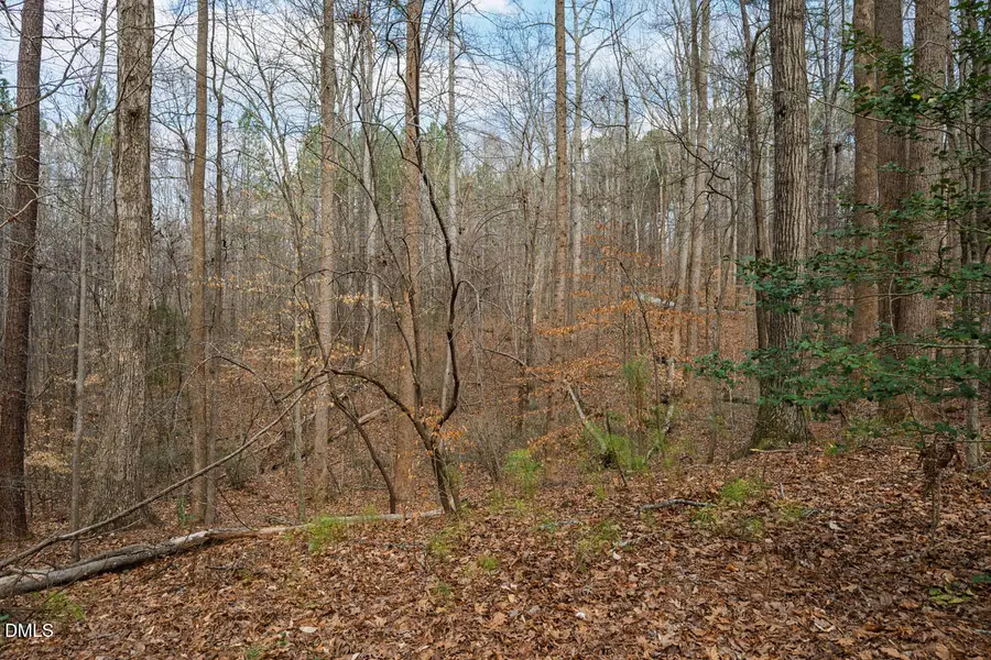 Lot 1 Marvin Edwards Lane, Chapel Hill, NC 27517 - #3