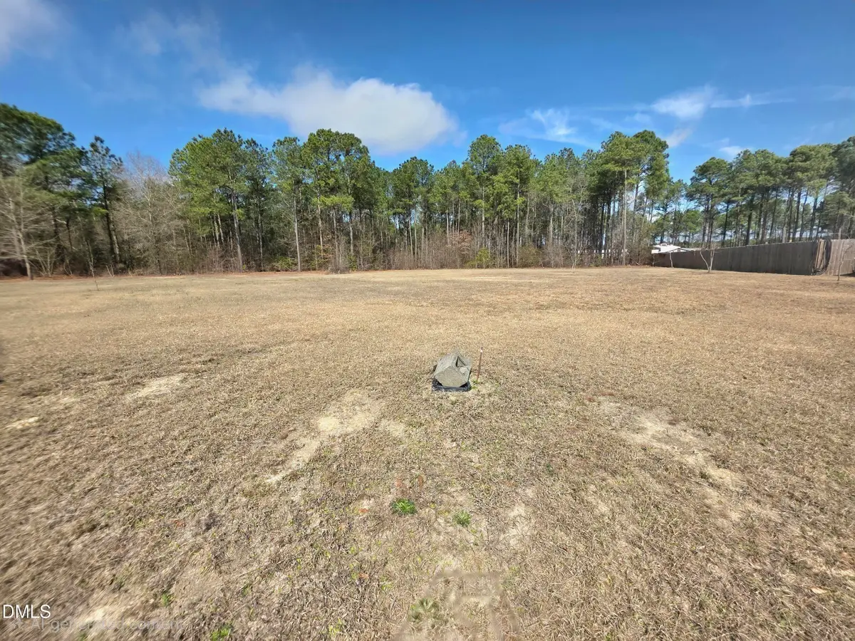 290 Raynor Sands Drive, Dunn, NC 28334 - #1