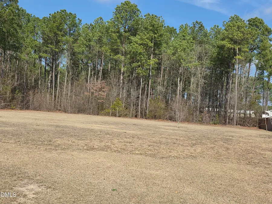 290 Raynor Sands Drive, Dunn, NC 28334 - #2
