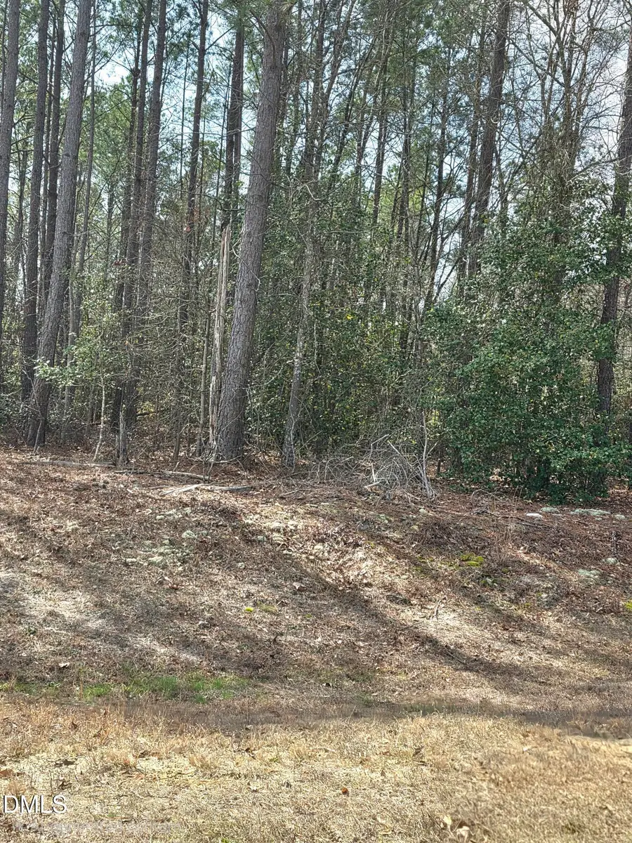 275 Raynor Sands Drive, Dunn, NC 28334 - #2