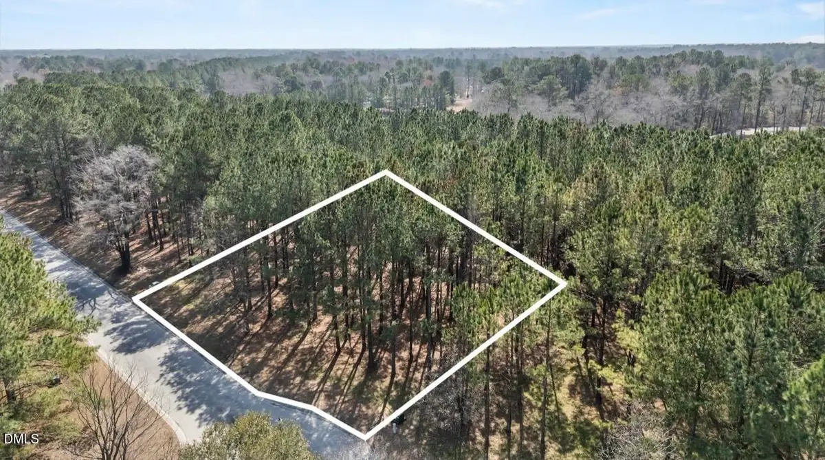 121 W Grandiflora Drive, Wallace, NC 28466 - #1