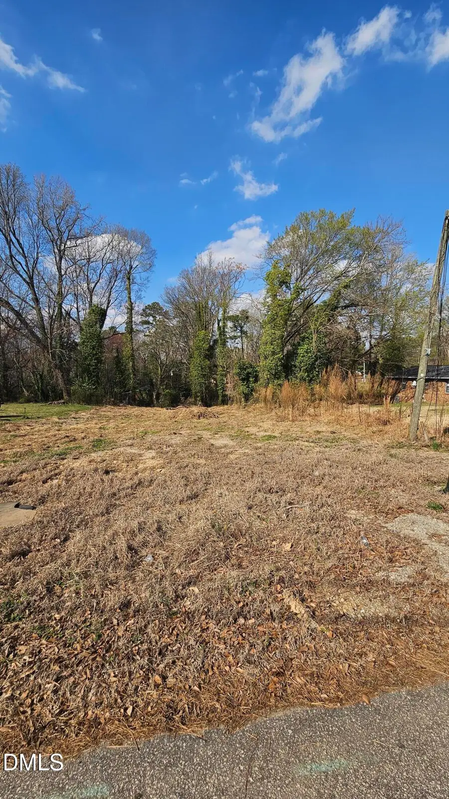 112 W Pine, Holly Springs, NC 27540 - #2