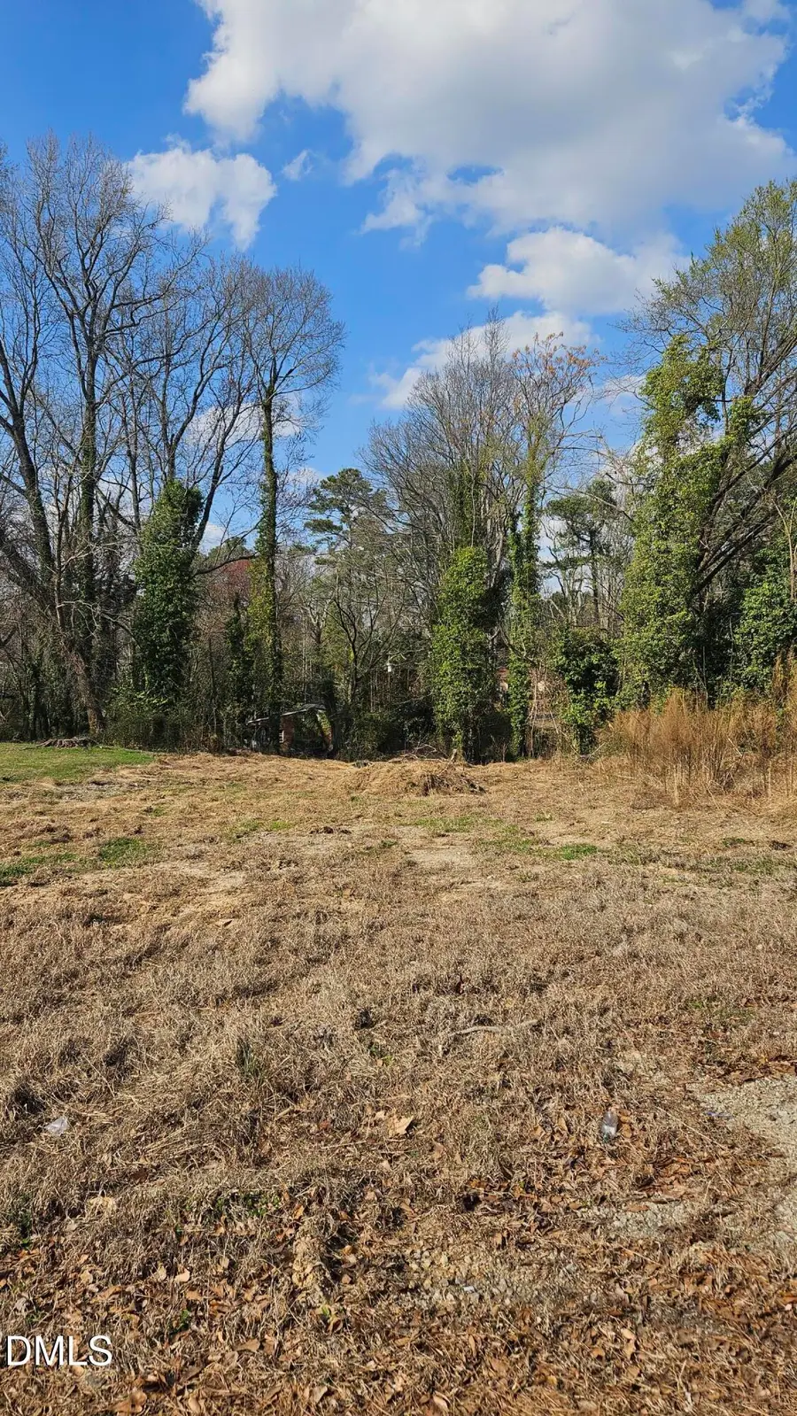 112 W Pine, Holly Springs, NC 27540 - #3