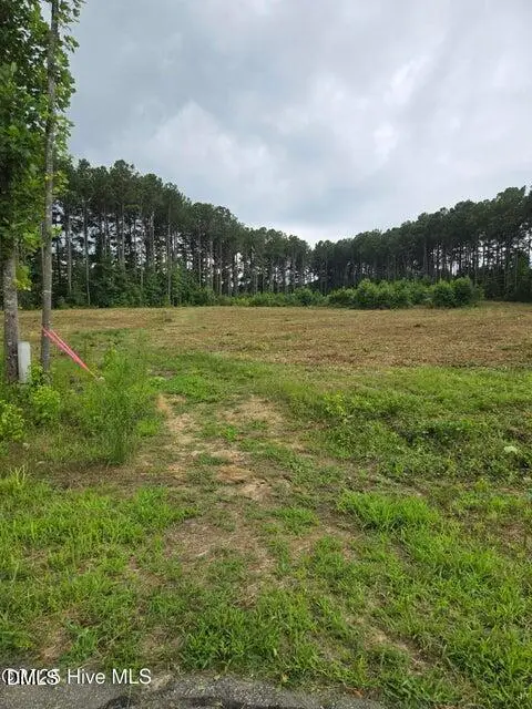 Lot 51 Roseheath Court, Bailey, NC 27807