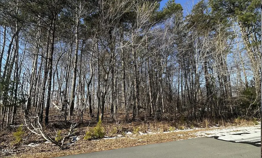 0 Pierce Denny Road, Liberty, NC 27298 - #3