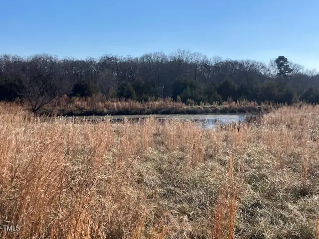 512 Bacon Road, Rougemont, NC 27572 - #3