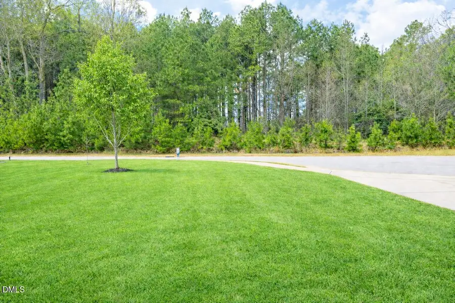 228 Montasel Court, Fuquay Varina, NC 27526 - #3